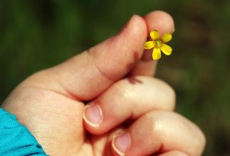 To Be Polite… Is it Really that Hard?