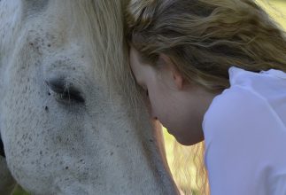 Responsibility—Steps to Teaching Our Children