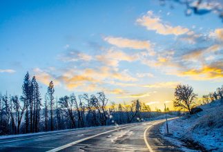 Most Family Adventures Begin in January