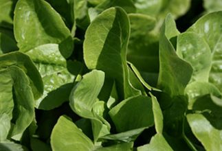 There’s a season for everything